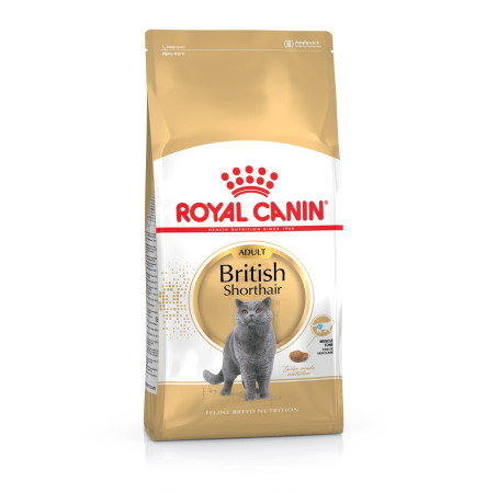 Royal Canin British Shorthair 10 кг